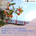 【中古】 こほりの影 原田桂子句集/ふらんす堂/原田桂子 原田桂子句集『こほりの影』（こほりのかげ） - ふらんす堂